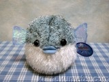 �V���[�x�b�g�o���[���@�A�N�A�E�L�b�Y�@�n���Z���{��M