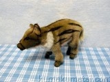 WILD�@PIG BABY  �A�J�`�����C�m�V�V image